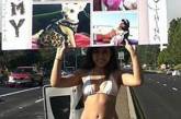 Американка в бикини объявила голодовку ради воссоединения с пропавшим псом