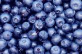 Ученые нашли в ягодах вещества, уничтожающие рак