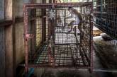 Таиландский зоопарк ужасов. ФОТО