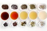 Названы самые полезные виды чая