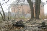В Киеве бродячих собак начали сжигать заживо