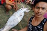 Филиппинский рыбак поймал 2,5-метрового кальмара. ФОТО