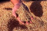 Урожай зерновых составил почти 40 миллионов тонн  