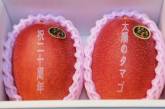 Шокирующая цена на премиальные японские манго. ФОТО