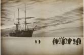 Первая Австралийская антарктическая экспедиция.ФОТО
