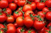 Названы главные полезные качества помидоров