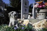 Нью-йоркцев разрешили хоронить на кладбищах домашних животных