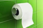 Ученикам в Ирландии советуют ходить в школу со своей туалетной бумагой