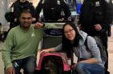Работники нью-йоркского аэропорта неделю гонялись за кошкой