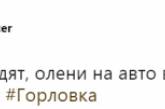 «Концентрация оленей зашкаливает»: Сеть насмешило видео, сделанное в «ДНР». ВИДЕО