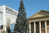 Жители Ставрополя получили шанс обменять новогодние елки на пальмы
