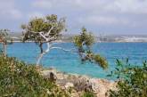 Пляжи Кипра в ярких пейзажах. Фото