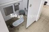 Так выглядят типичные туалеты в разных уголках мира. Фото