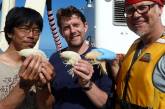 В океанских глубинах у Новой Зеландии нашли неизвестных науке гигантских ракообразных