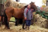На Камчатке депутат потребовал «место парковки» для своего коня. ФОТО