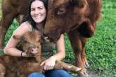 Instagram покорил теленок, считающий себя псом. фото