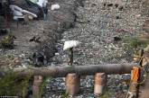 Индийские трущобы полностью завалены мусором. ФОТО