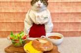 Японка каждый день наряжает своего кота к ужину. ФОТО