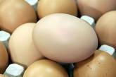 Куриные яйца поделили на полезные и опасные