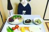 Кот, обожающий наряды, стал звездой Instagram.ФОТО