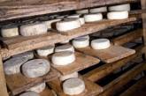 Россия хочет посмотреть на производство украинского сыра вживую