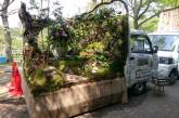 Конкурс садов на японских мини-грузовиках Kei Truck. ФОТО