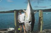 Новозеландский рыбак поймал на удочку гигантского тунца  