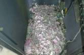 В Индии мыши уничтожили миллион, забравшись в банкомат.ФОТО