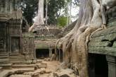 Заброшенный древний город Ангкор в джунглях. ФОТО