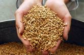 Украина вновь может стать главным импортером зерна