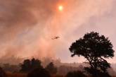 Сильные лесные пожары бушуют в Калифорнии. ФОТО