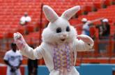В США полиция задержала пасхального зайца, обвинив его в краже DVD
