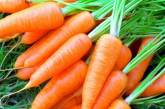 Чем полезна морковь: важные свойства для организма