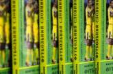 К Евро-2012 в Украине издан футбольный словарь