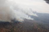 В Сибири горят более 8 тысяч гектаров леса