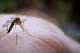 Ученые выяснили, какой витамин защищает от комариных укусов