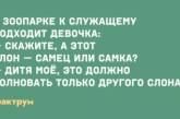 "Хороший асфальт на дороге не валяется": приколы из реальной жизни. ФОТО