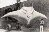 Великий скат, которого поймал капитан Кан в 1933 году. ФОТО