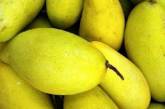 Ученые обнаружили новое полезное свойство манго
