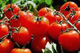 Врачи развенчали популярные мифы о помидорах