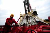 Добычу сланцевого газа в Украине отдали двум мировым гигантам