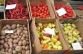 Украинские овощи побили рекорд дешевизны