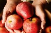 Медики назвали самый полезный фрукт для здоровья кишечника