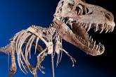 Скелет динозавра ушел с молотка за миллион долларов