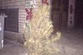 Слабак: в Запорожье выбросили еще одну новогоднюю елку