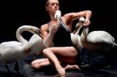 Парижская балетная труппа показала балет с участием живых лебедей