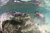 Фотосессия с крокодилами в их естественной среде обитания. ФОТО