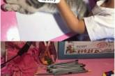 Девочка создала популярный мем, придумав странный способ нарисовать кота. ФОТО
