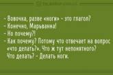 Заряд позитива: свежие анекдоты на все случаи жизни