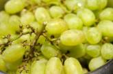 Медики обнаружили еще одно полезное свойство винограда